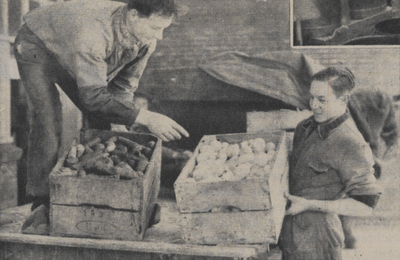 300256 Afbeelding van het uitladen van penen en uien bij het nieuwe gebouw van de Centrale Keuken (gaarkeuken, ...